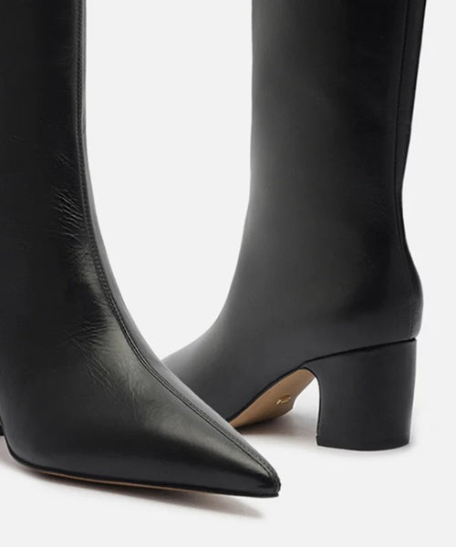 Bota Preta Couro Cano Longo Bico Fino Zíper - Arezzo